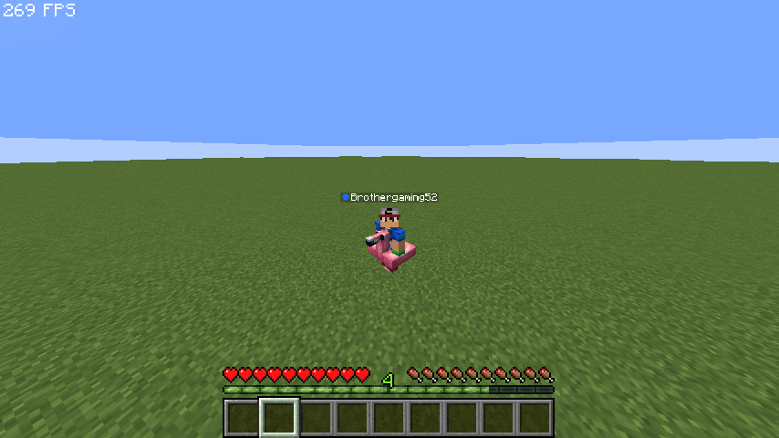 Player wearing a 3D model accessory visible to other players