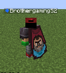 Elytra in back accessory slot with chestplate in armor slot